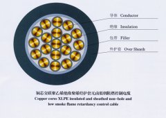 DWZ-KYJYP,DWZ-KYJYP2,低煙無(wú)鹵阻燃型控制電纜