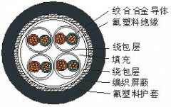 熱電偶專用高溫測量電纜線AKFFPXR200,ANFFPXR200